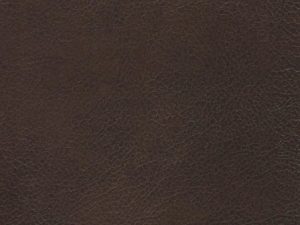 Leather - Cantina Cocoa