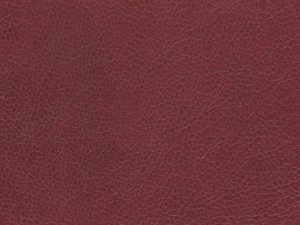 Leather - Cantina Cranberry