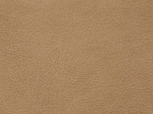 Leather - Cantina Peanut