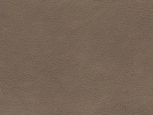 Leather - Cantina Taupe