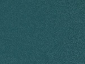 Standard Vinyl - Esprit Aqua Green