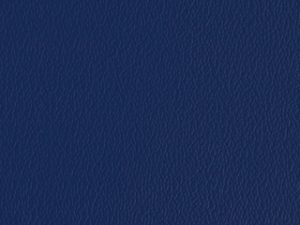 Standard Vinyl - Esprit Blueberry