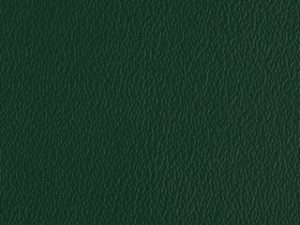 Standard Vinyl - Esprit Emerald