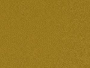 Standard Vinyl - Esprit Goldenrod