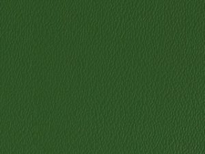 Vinyl - Esprit Olive Green