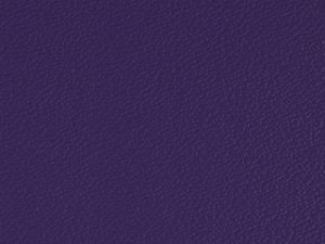 Standard Vinyl - Esprit Purple Iris