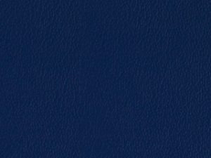 Vinyl - Esprit Regimental Blue