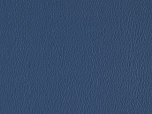 Standard Vinyl - Esprit Space Blue