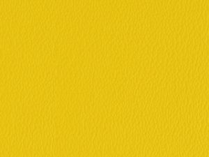 Standard Vinyl - Esprit Sun Yellow