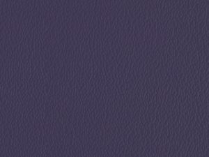 Standard Vinyl - Esprit Wood Violet