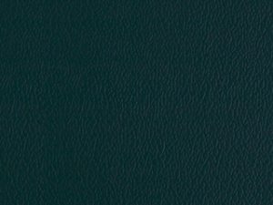 Standard Vinyl - Esprit Yew Green